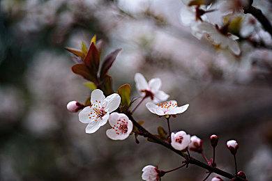 3D动作肉鸽RPG《碎境》最新demo今日上线